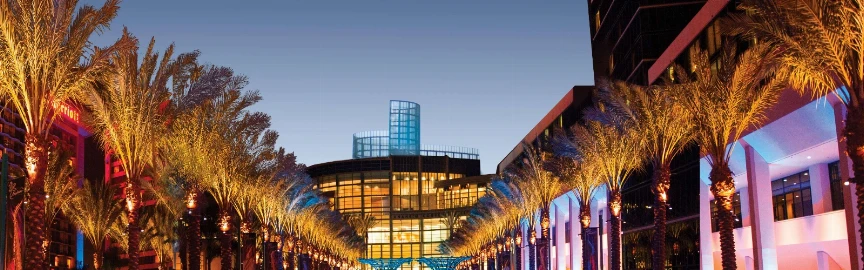 Romantic Things to Do in Anaheim for Couples